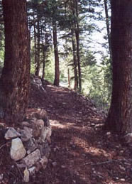 benedict trail aspen