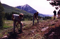 lower loop crested butte