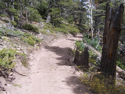 San Carlos Trail Reconstruction