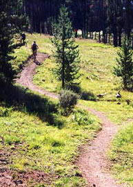 carter road bike trail