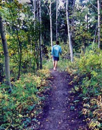 tom blake trail colorado